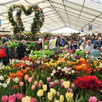 RHS Malvern Spring Festival