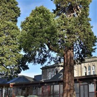 Invercarse Hotel Dundee