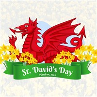 St, Davids Day Tribute -  Torquay